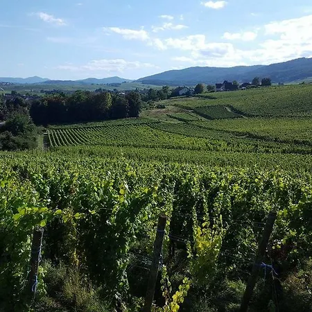 L Escale Des Grands Crus *